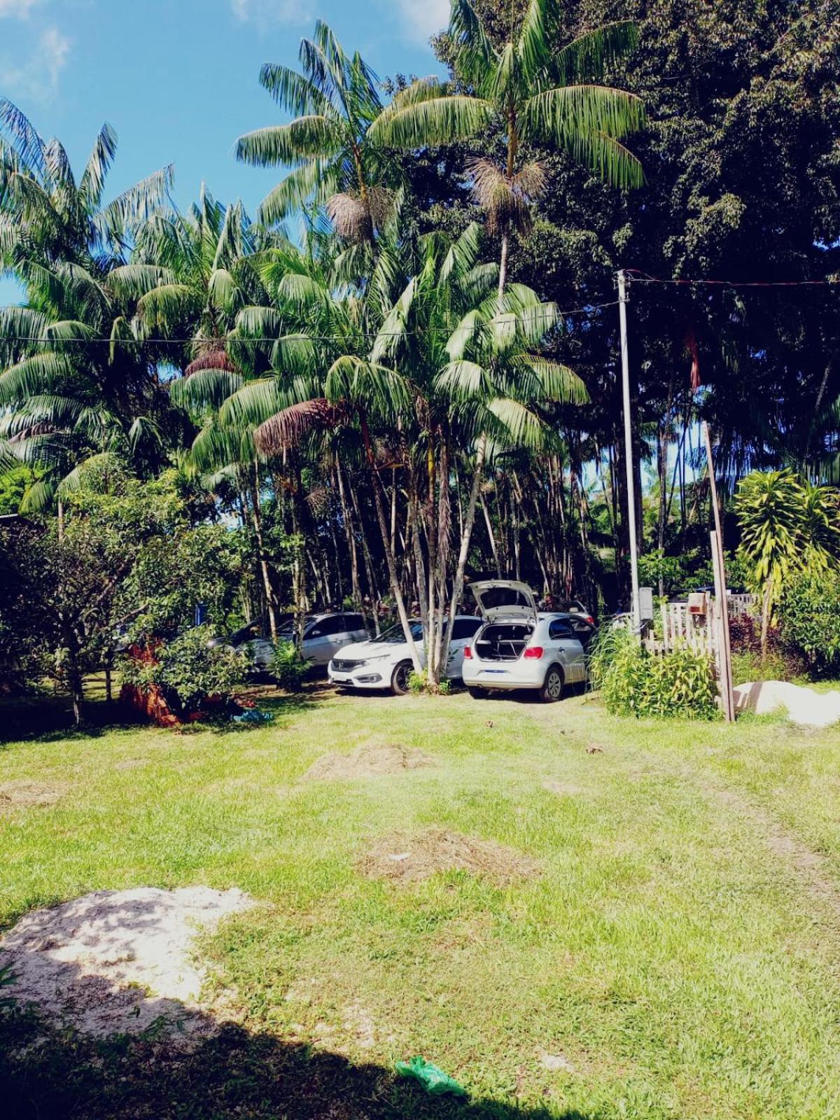 Hotel Eco Sitio O Labirinto Do Fauno Mosqueiro  Exterior foto